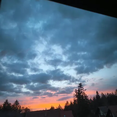 Апартаменты Rosa Lux Златибор